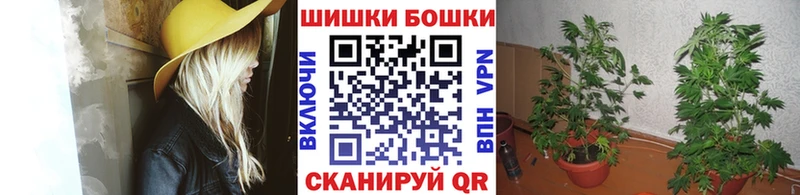 Где можно купить наркотики Миллерово Галлюциногенные грибы  Меф  MEGA как зайти  СК 