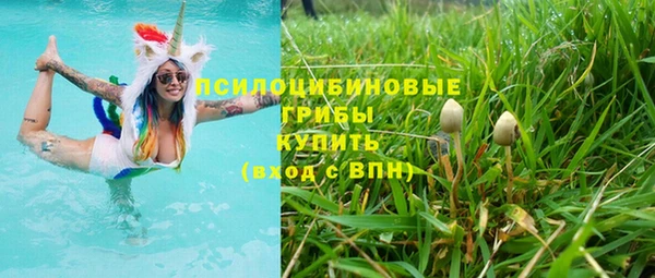 стафф Зеленодольск