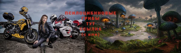 ешки Зеленокумск