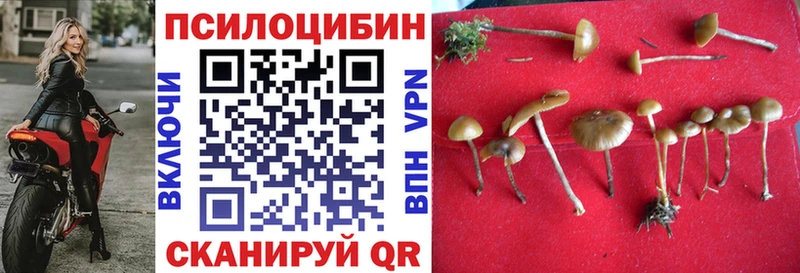 Галлюциногенные грибы Cubensis  где можно купить   блэк спрут онион  Миллерово 