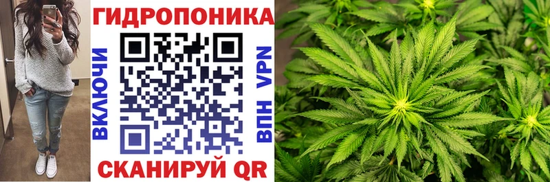 Каннабис гибрид Миллерово